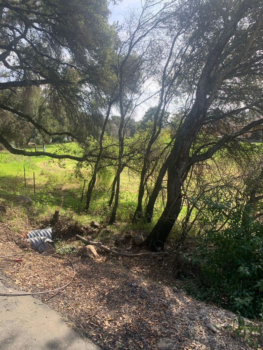 Site before cleanup