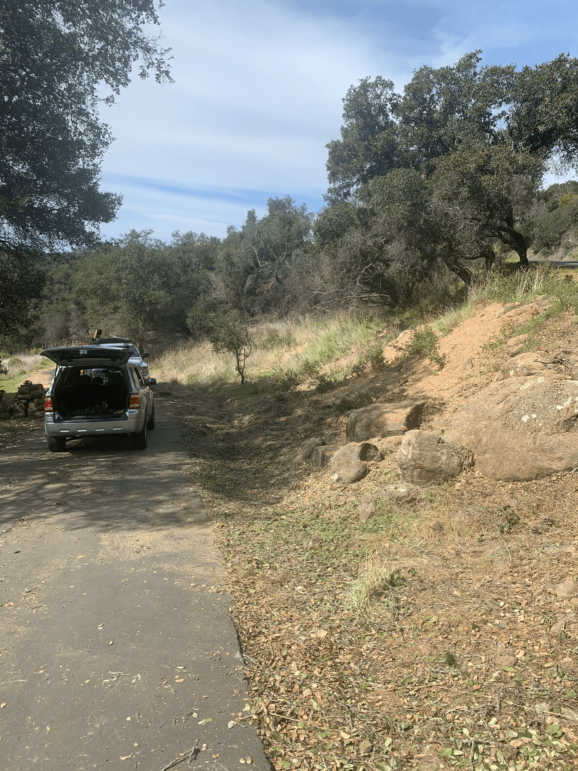 Fire prevention clearing