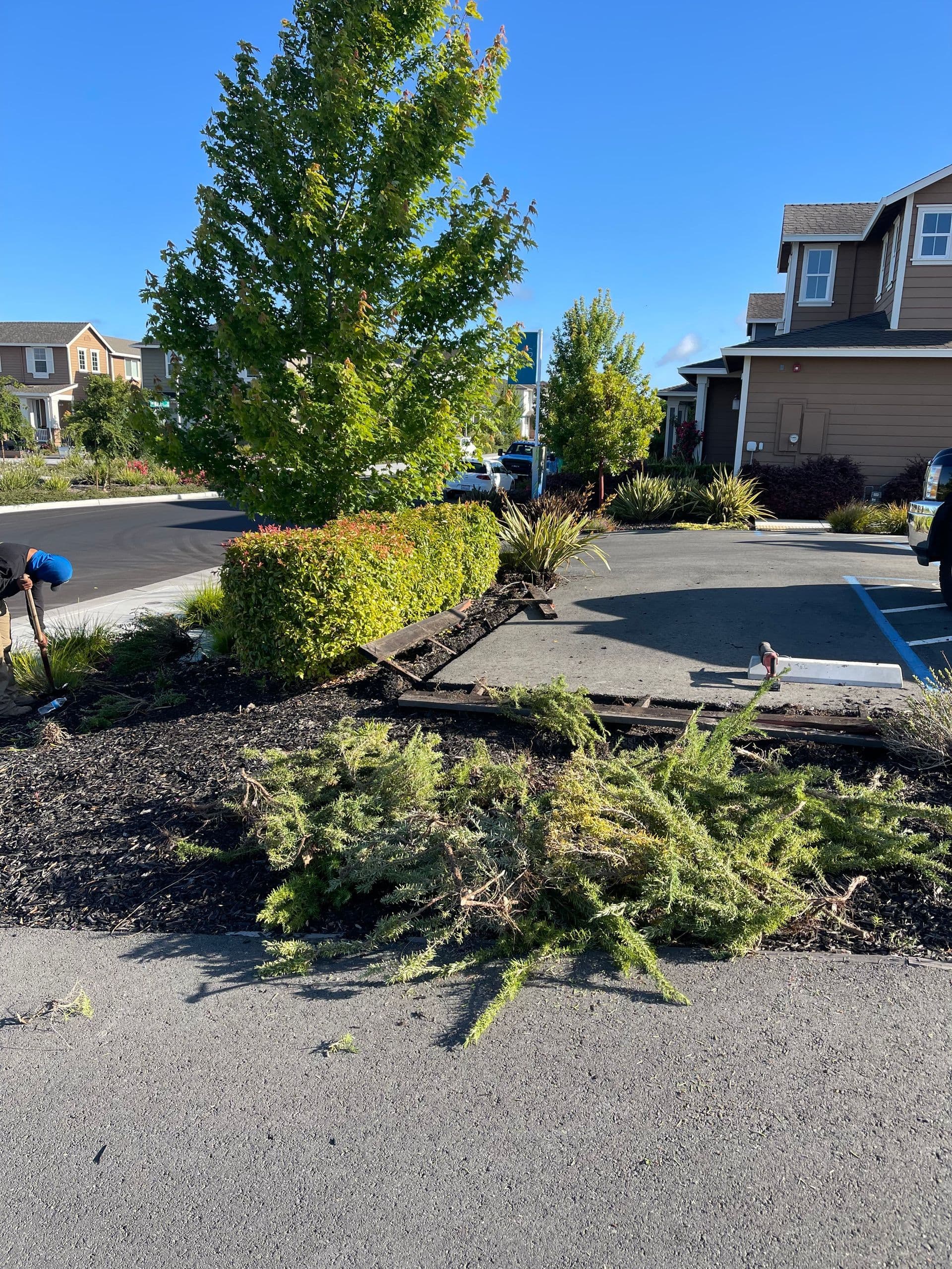 Parking lot clearing