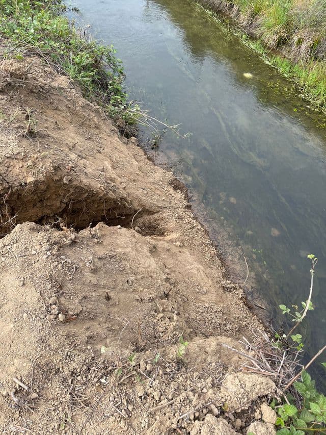 Site preparation