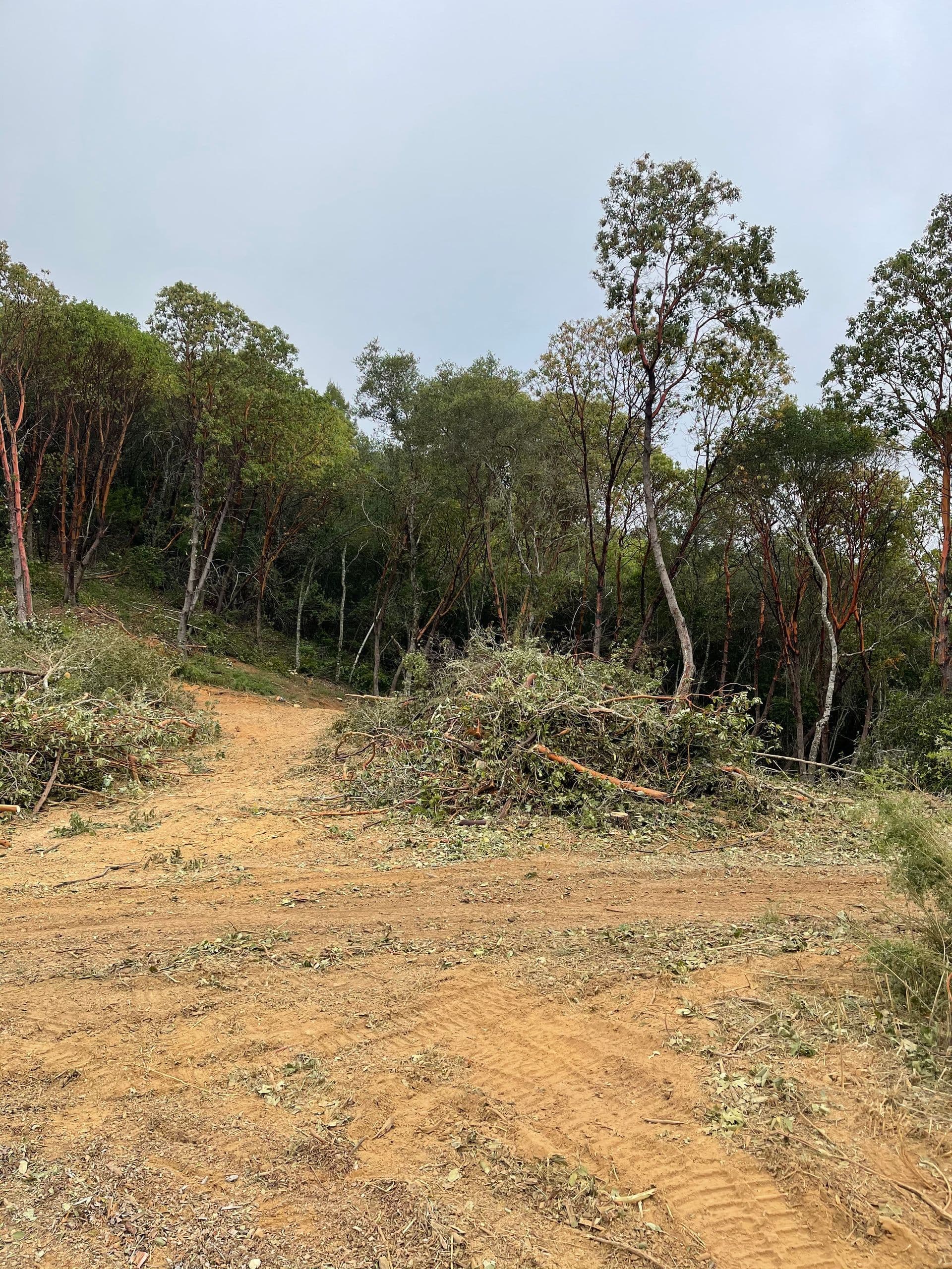 Land Solutions & Fire Prevention